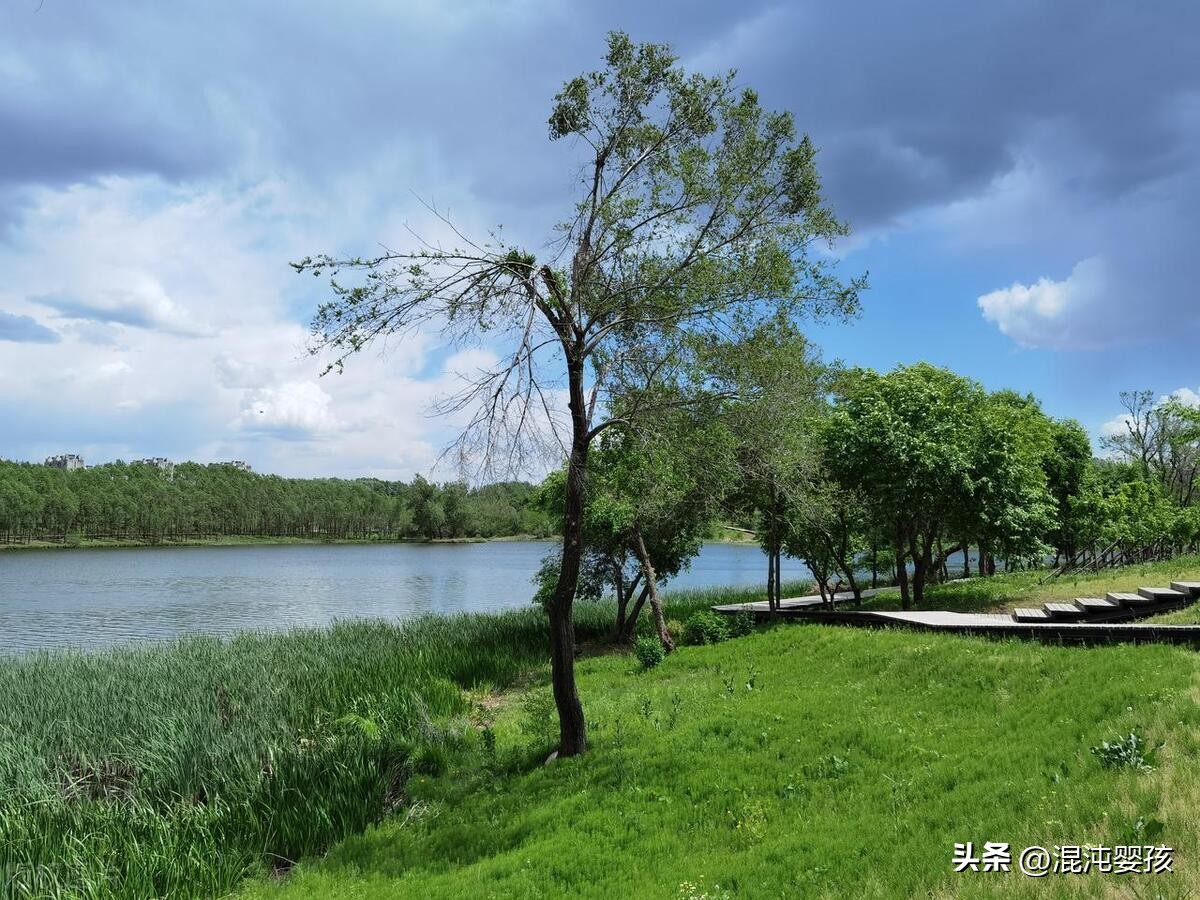 白居易诗全集_白居易全部诗_白居易全集诗词大全