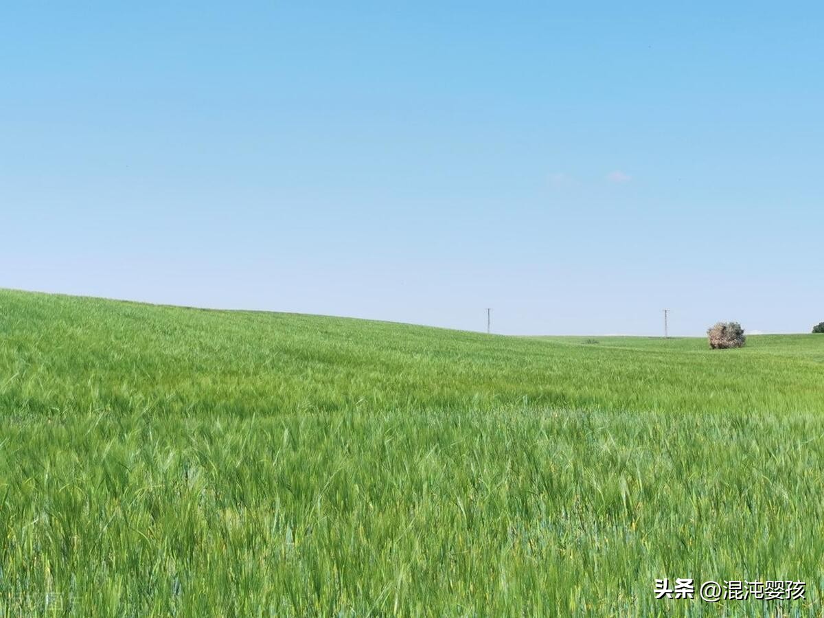 白居易全部诗_白居易全集诗词大全_白居易诗全集