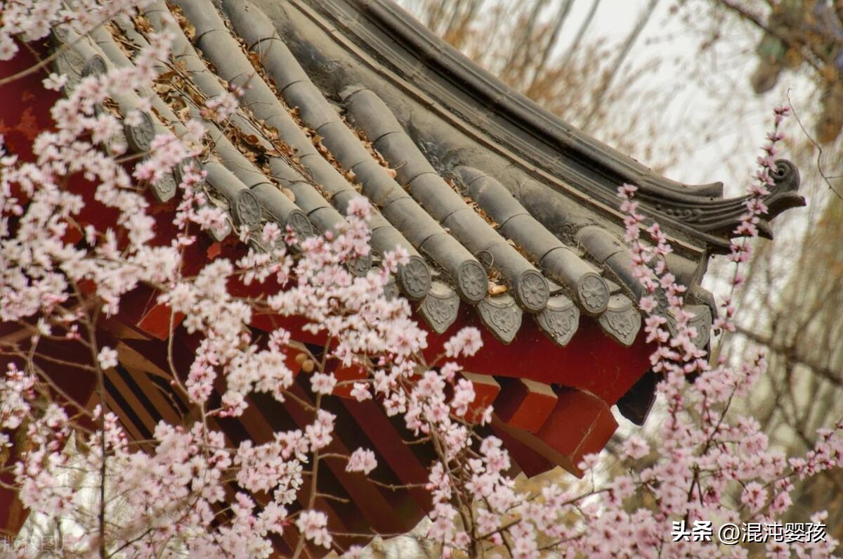 白居易全部诗_白居易全集诗词大全_白居易诗全集