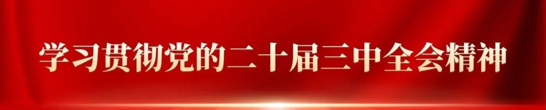 户组词_户_户
