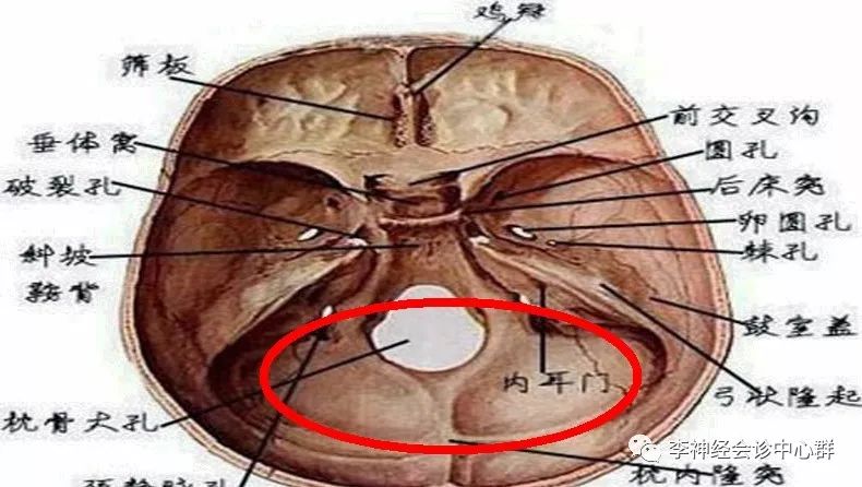 读缬什读么什字么字_缬怎么读_缬怎么读