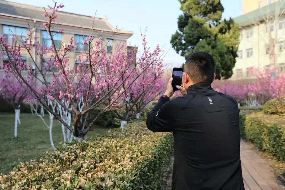 对外开放的基本原则_对外_对外经贸易大学