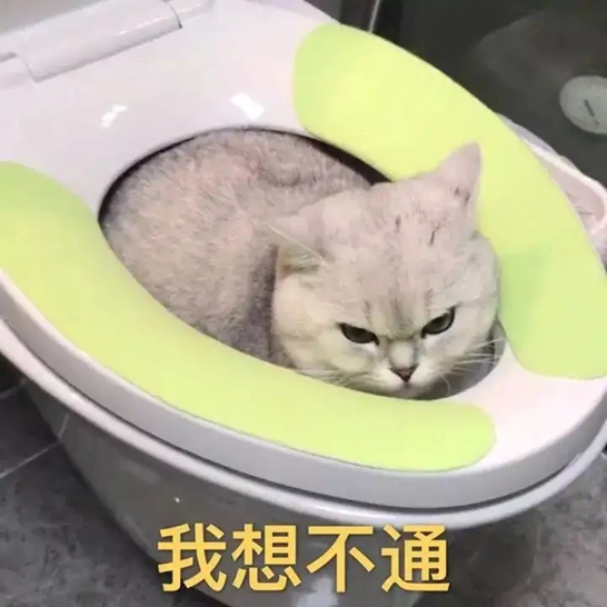 博组词_组词博物对吗_组词博学