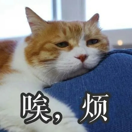 博组词_组词博学_组词博物对吗