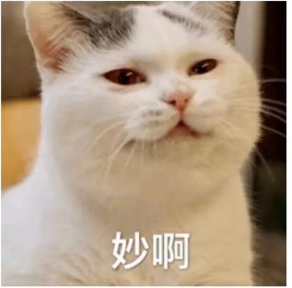 组词博物对吗_博组词_组词博学