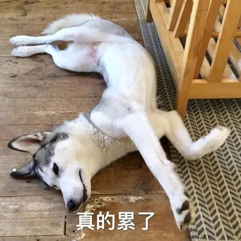 博组词_组词博学_组词博物对吗