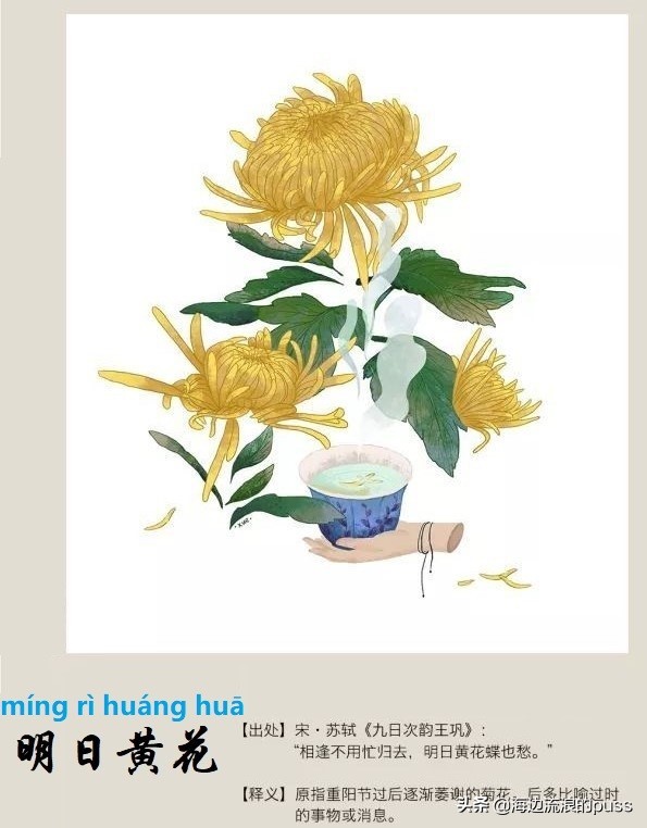 心余力拙读音_读音拙病_拙怎么读音