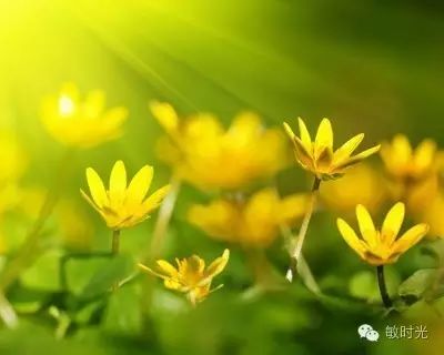 拼音见到u去掉两点顺口溜_拼音见了谁要摘帽子_见的拼音