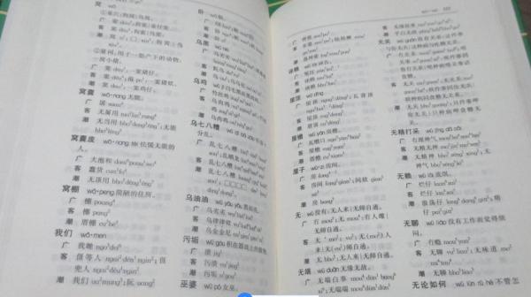 拼音翻译_拼音声母韵母整体认读_也的拼音