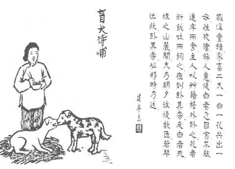 凛的拼音_拼音凛冽_拼音凛然