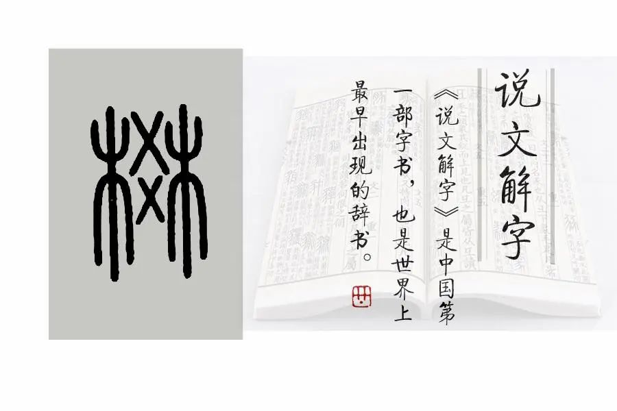 甯的读音_甯的读音_甯的读音