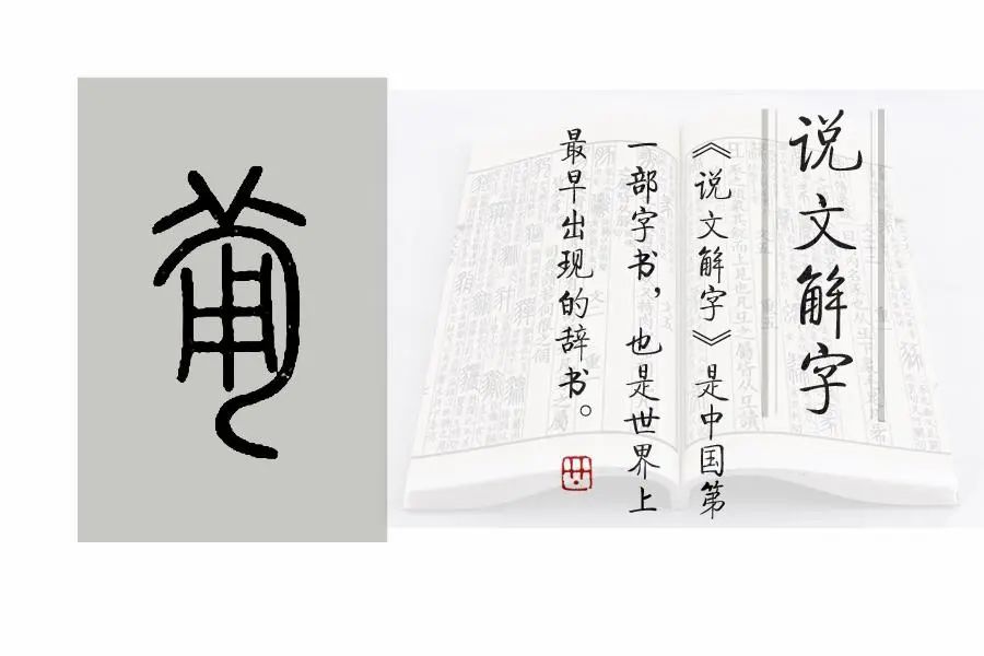 甯的读音_甯的读音_甯的读音