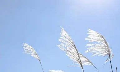 肖组词加偏旁组词语_肖的组词_肖组词组词语