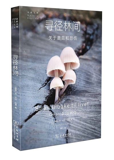 玮读yi还是wei_玮读什么拼音_玮怎么读