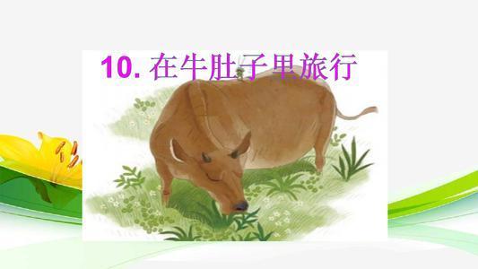 族群的拼音_拼音族组句子_族的拼音