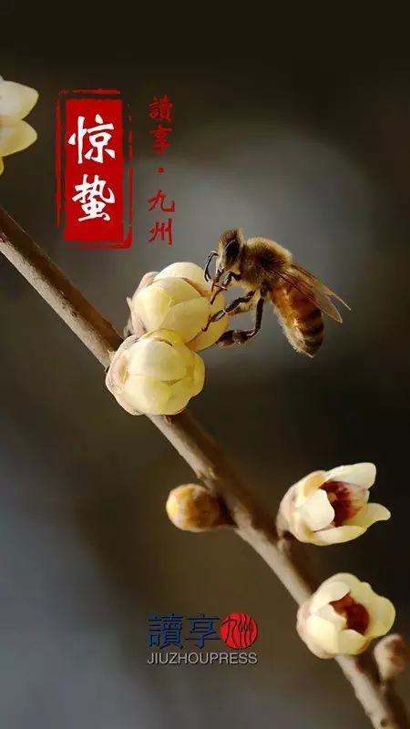 读惊蛰还是精致_读惊蛰怎么_惊蛰怎么读