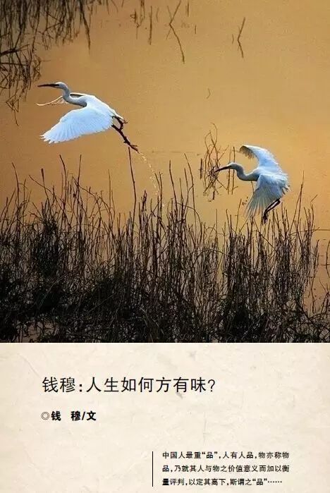 读惊蛰还是精致_惊蛰怎么读_读惊蛰怎么