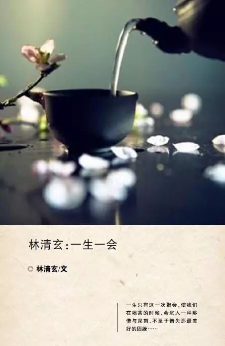 读惊蛰还是精致_惊蛰怎么读_读惊蛰怎么