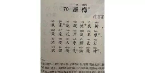 梅花古诗王冕_王冕的诗_素梅古诗王冕