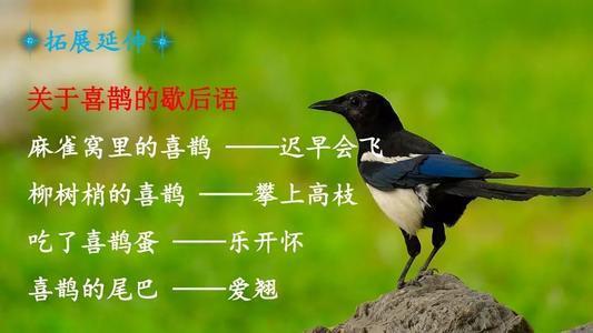 游的部首_部首游戏怎么玩_部首游戏名