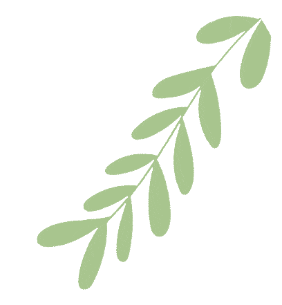 部首偏旁大全_以的偏旁部首_部首偏旁大全一览表