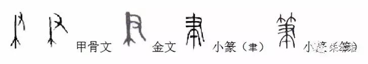 聿字怎么读_聿字怎么读_聿字怎么读