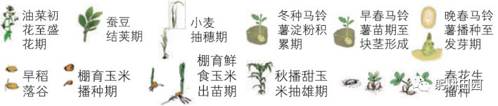 惊蛰的拼音大写_惊蛰的汉语拼音_惊蛰的拼音