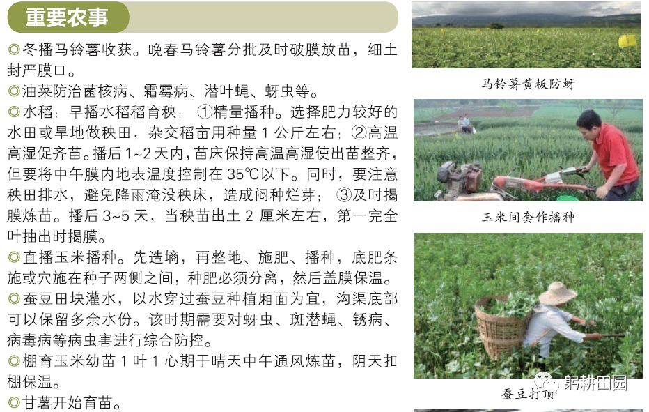 惊蛰的汉语拼音_惊蛰的拼音_惊蛰的拼音大写