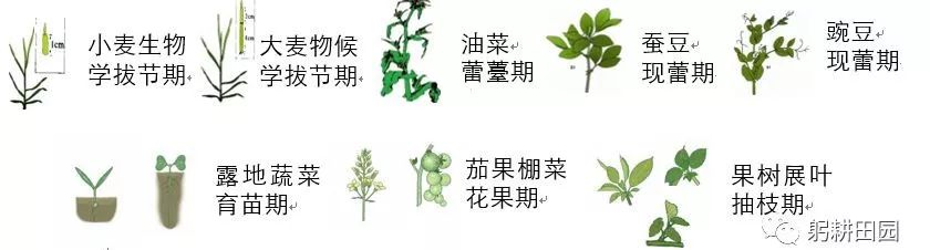 惊蛰的拼音大写_惊蛰的汉语拼音_惊蛰的拼音