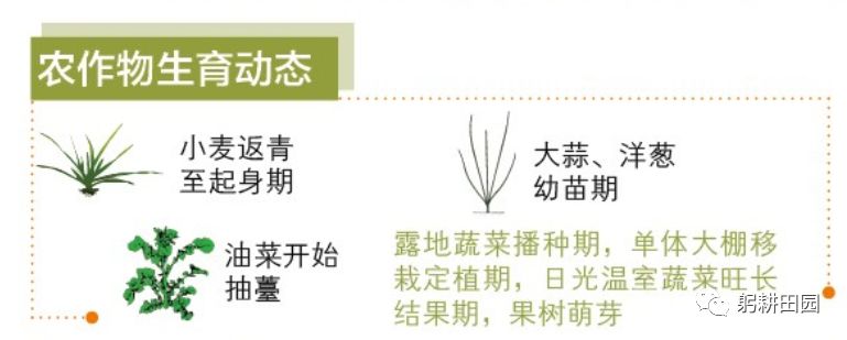 惊蛰的拼音大写_惊蛰的拼音_惊蛰的汉语拼音