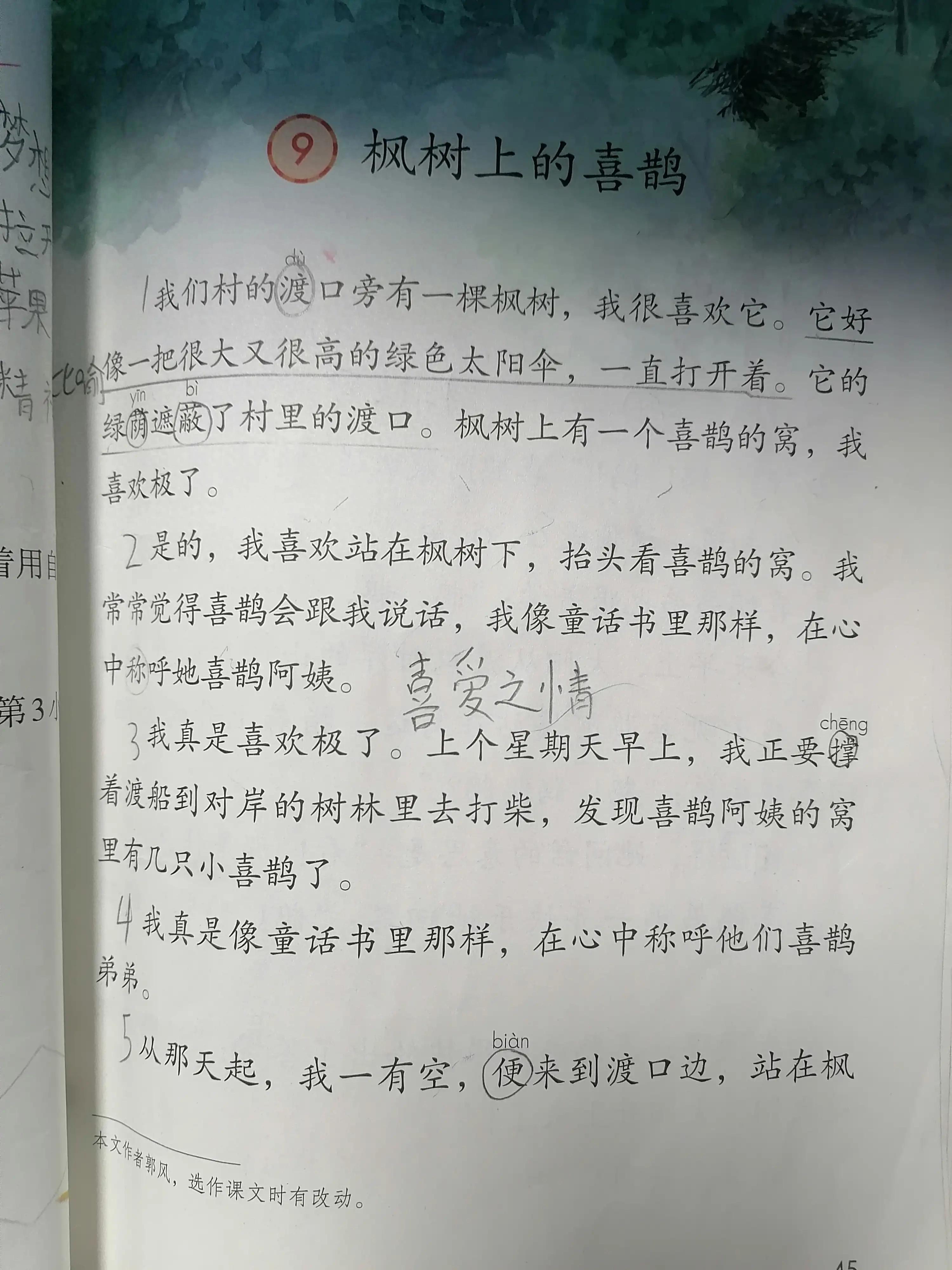 弟的拼音_朔拼音_弟弟拼音正确写法