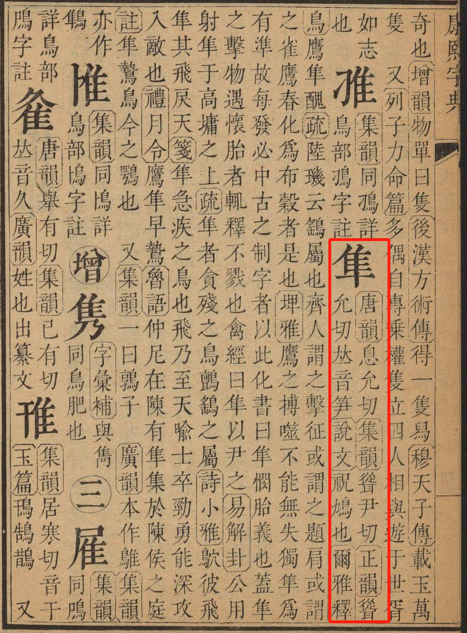 隼是什么意思_隼是什么鸟图片_隼鸟的意思