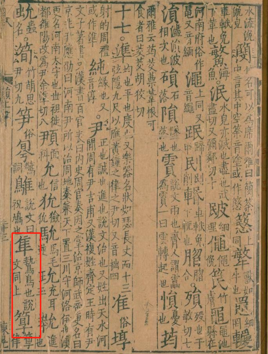 隼是什么鸟图片_隼是什么意思_隼鸟的意思