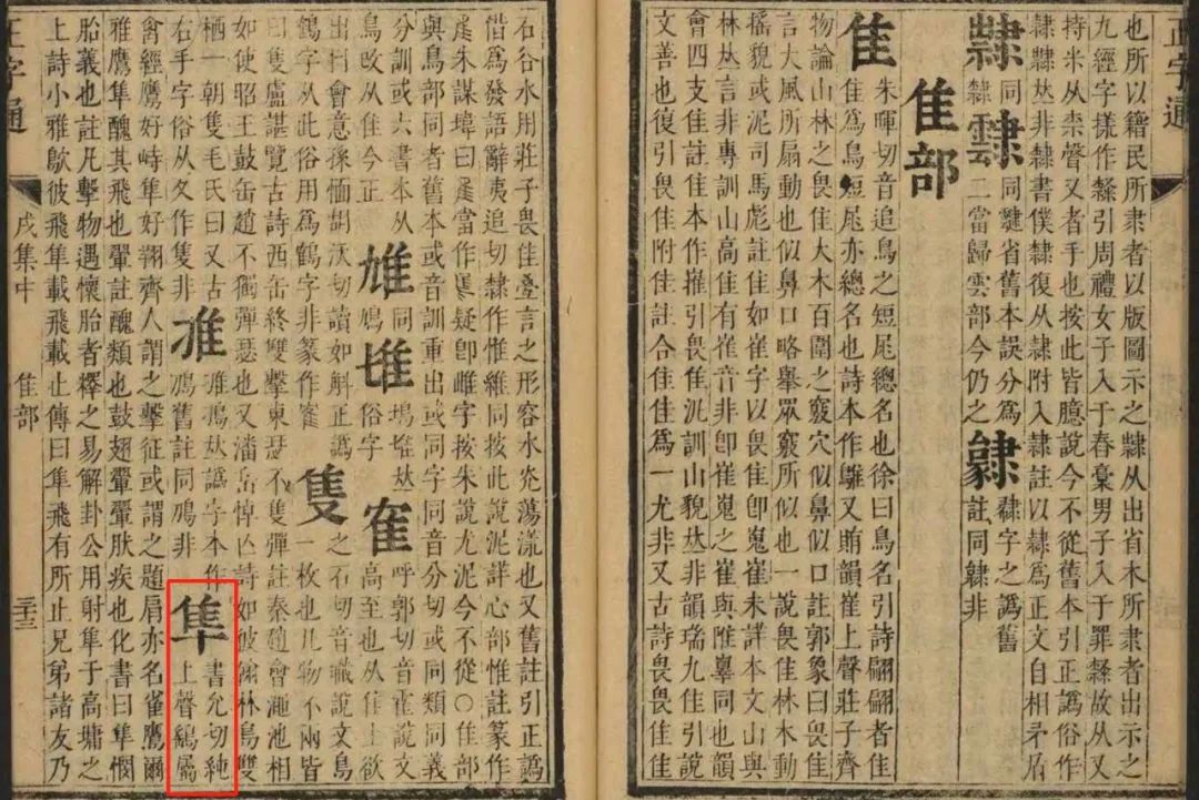 隼是什么意思_隼是什么鸟图片_隼鸟的意思
