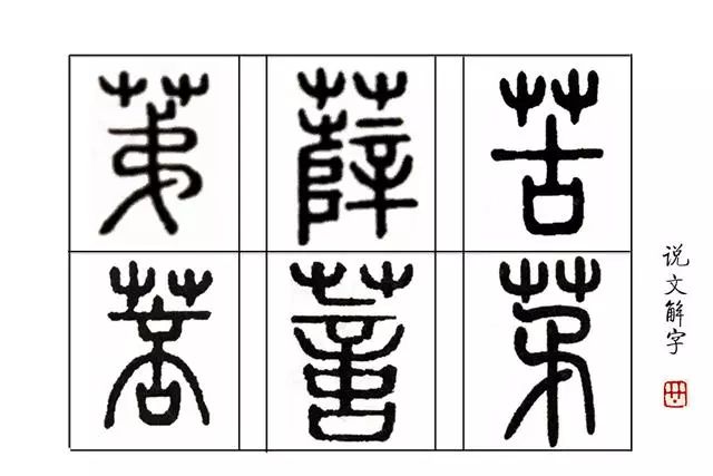 柔荑是什么意思_柔荑是什么意思_柔荑是什么意思