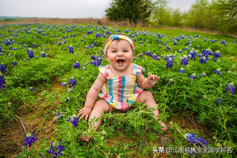 摩托车隼是什么意思_规圆矩方隼平绳直的意思_隼的意思