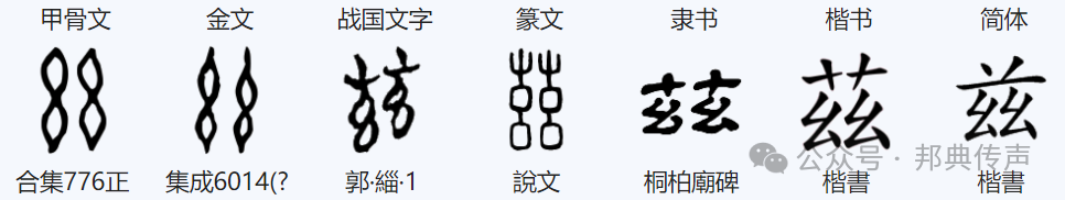 兹怎么读_读忆读书的收获_读书笔记