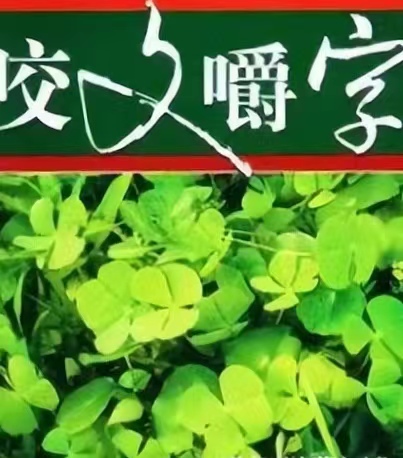 组词命一年级_组词命运_命组词