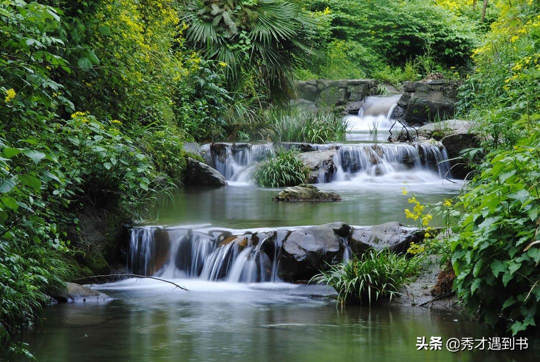 苏组词两个字_苏组词寓意好的_苏组词