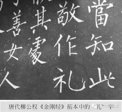 兽的部首_兽部首组词_兽部首是什么偏旁
