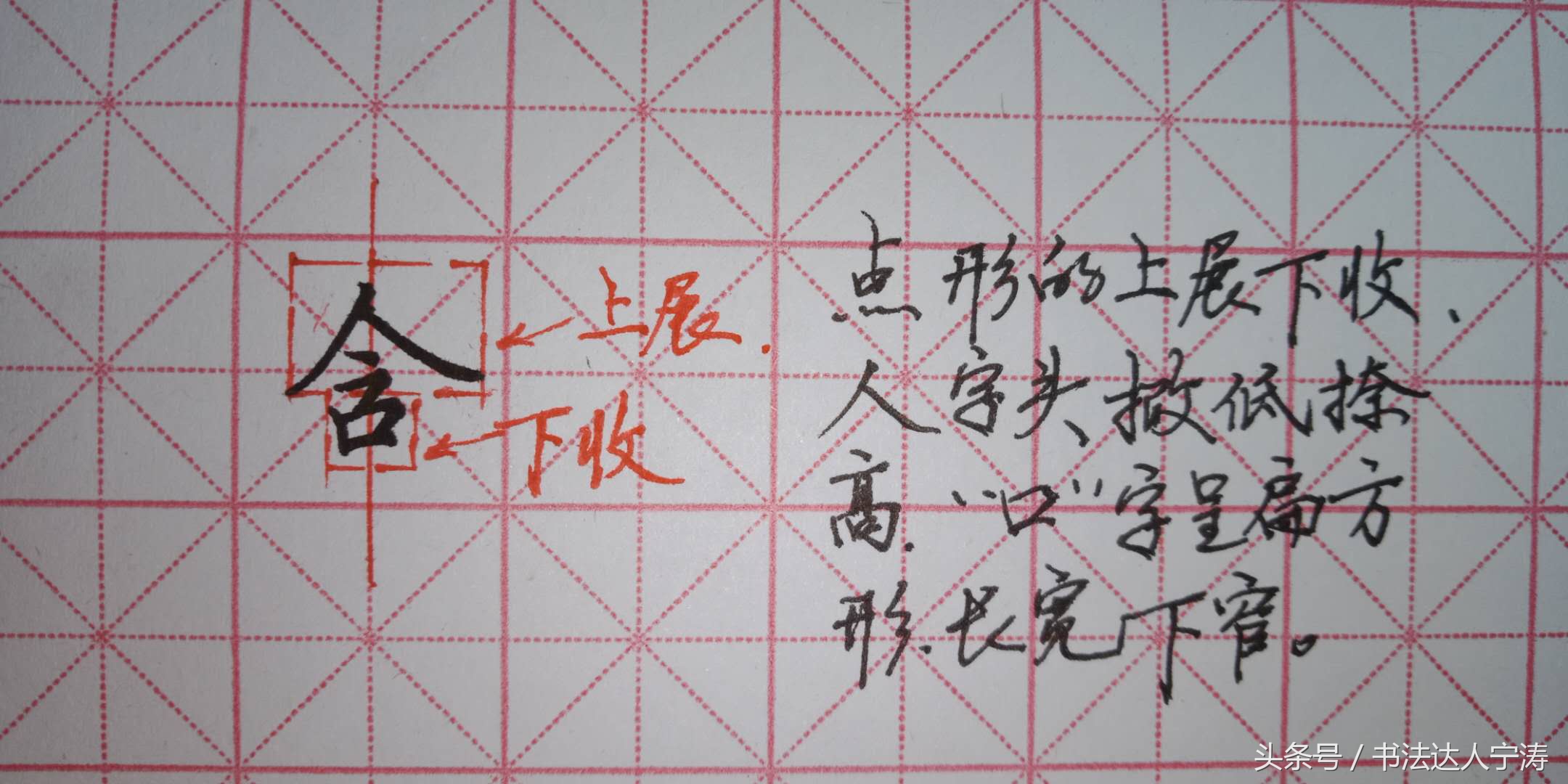 夫的部首_夫部首是什么_夫部首组词
