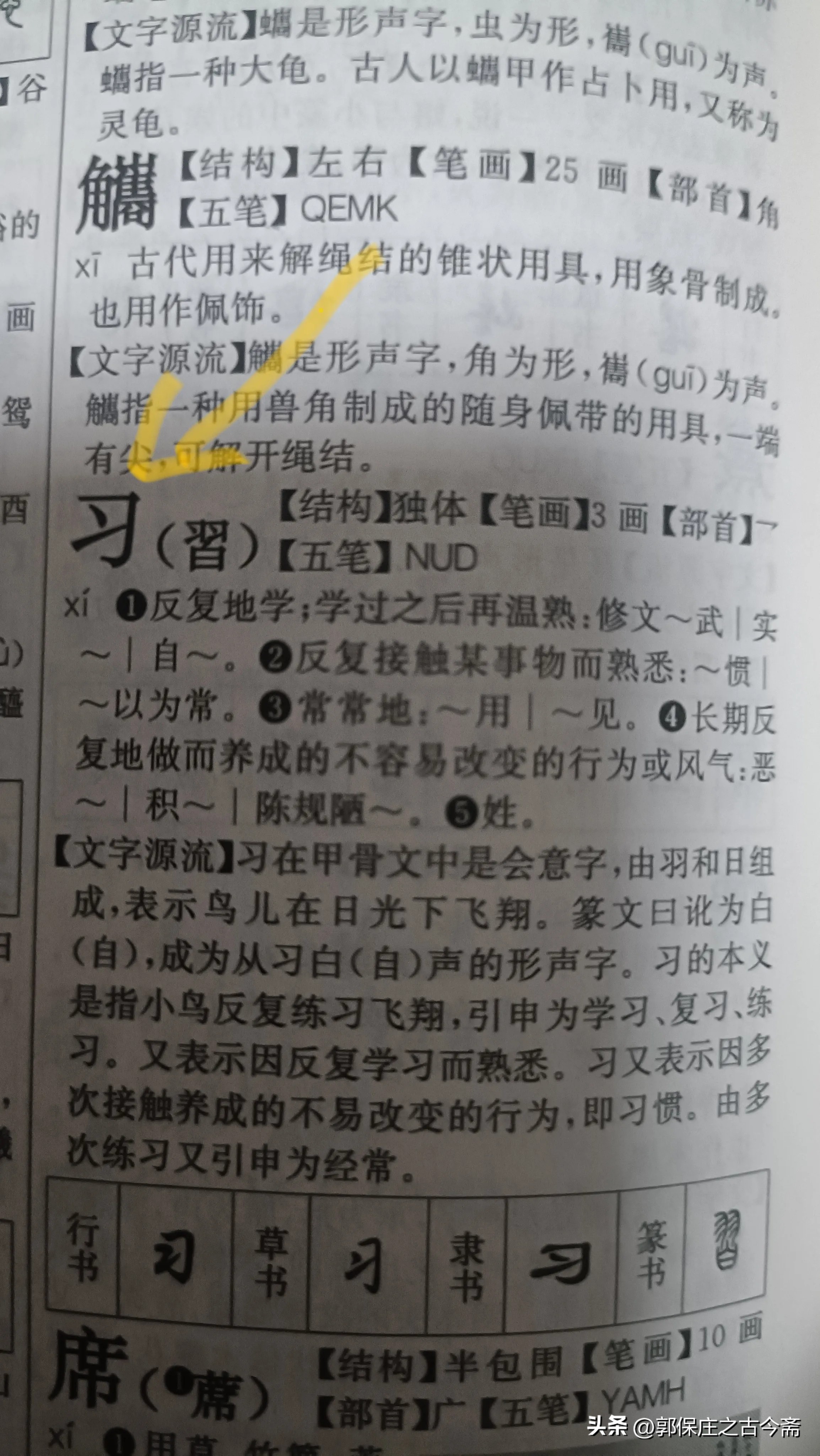 肃的部首_肃部首查字法先查什么再查几画_肃部首查字法查什么部首