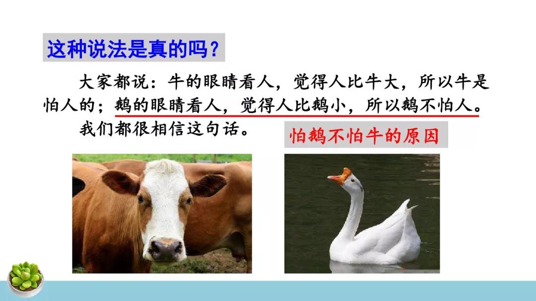 什怎么组词_组词二年级_组词袭