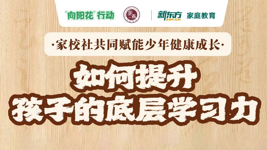 鲜艳的拼音_拼音_服装拼音