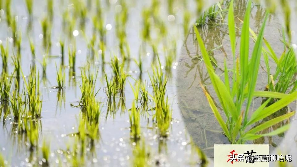 月的拼音_拼音月付怎么关闭_拼音月怎么打出来