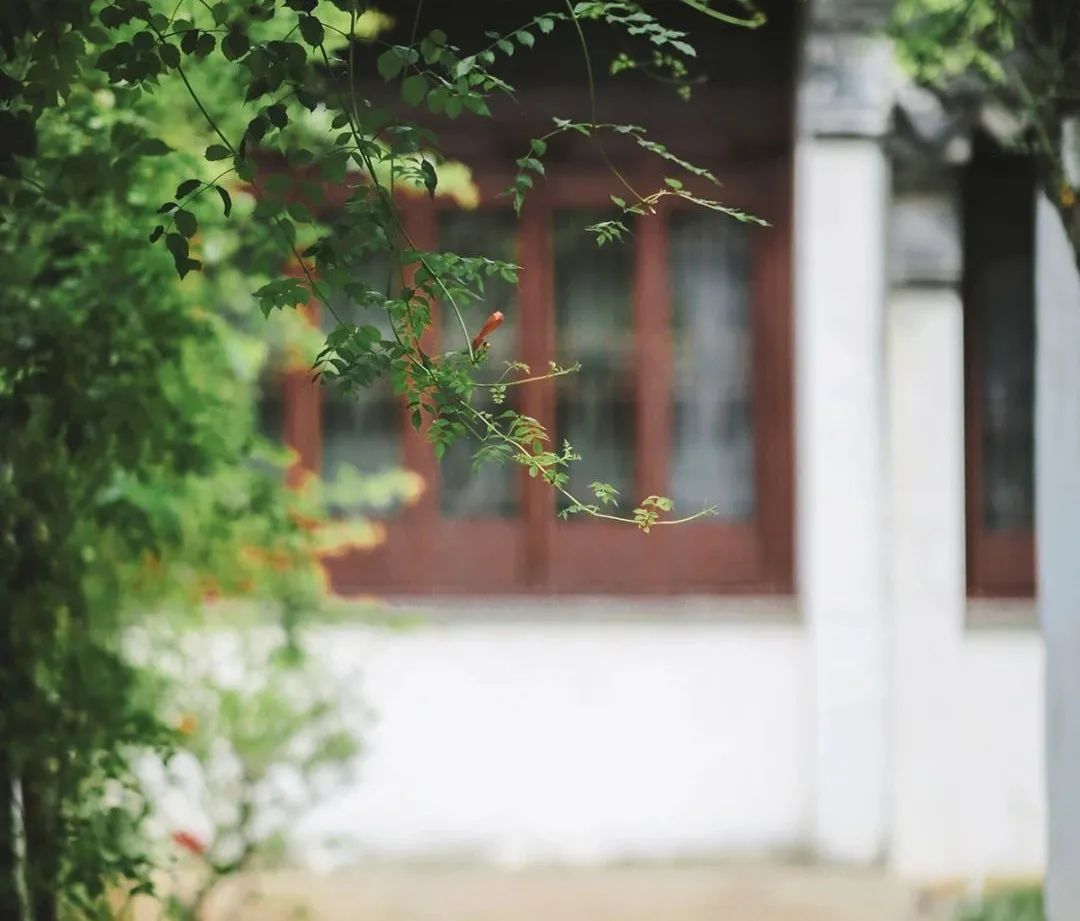 匪石怎么打_匪石任务_我心匪石 不可转也
