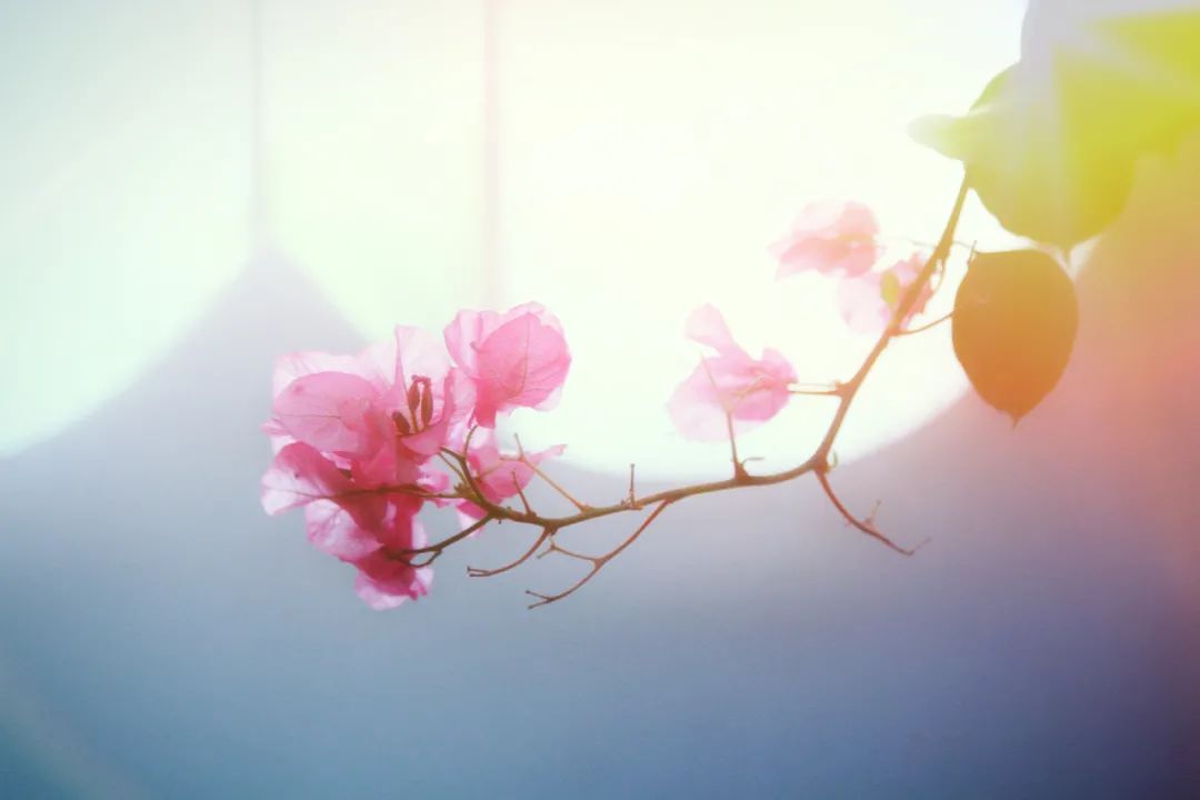 匪石怎么打_我心匪石 不可转也_匪石任务