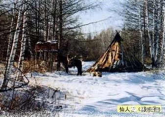 马诗现代文600字_马诗现代文_关于马的现代诗