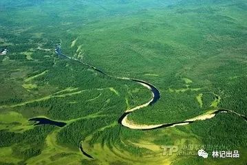 马诗现代文600字_关于马的现代诗_马诗现代文