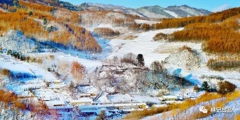 马诗现代文600字_马诗现代文_关于马的现代诗